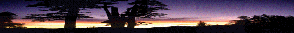 Greetings! from Science Network <NatureQuest.net>
